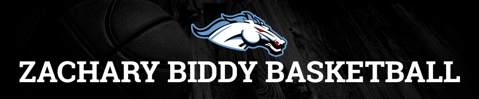 Zachary Biddy Basketball